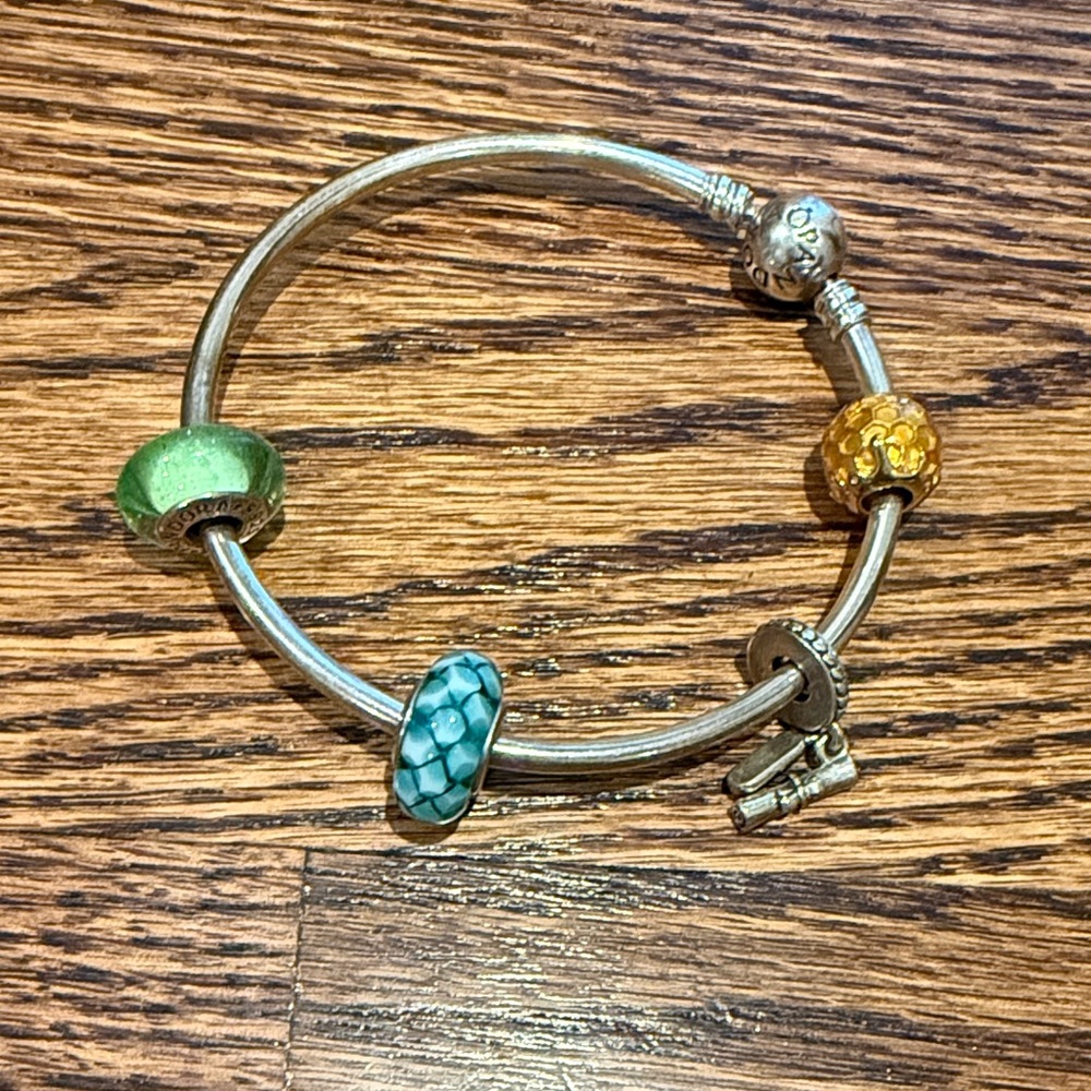 Elegant Silver Pandora Charm Bracelet